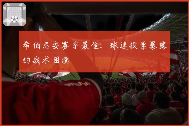 希伯尼安赛季最佳：球迷投票暴露的战术困境