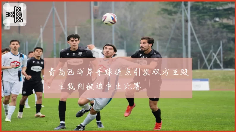 青岛西海岸手球送点引发双方互殴，主裁判被迫中止比赛