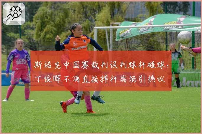 斯诺克中国赛裁判误判球杆碰球,丁俊晖不满直接摔杆离场引热议