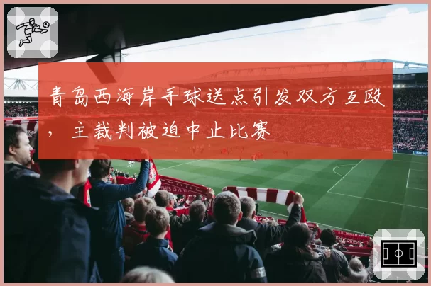 青岛西海岸手球送点引发双方互殴，主裁判被迫中止比赛